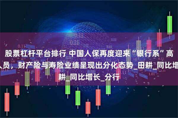 股票杠杆平台排行 中国人保再度迎来“银行系”高层管理人员，财产险与寿险业绩呈现出分化态势_田耕_同比增长_分行